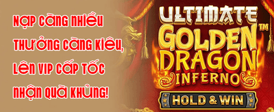 Hướng Dẫn Cài Đặt Ứng Dụng Playamo